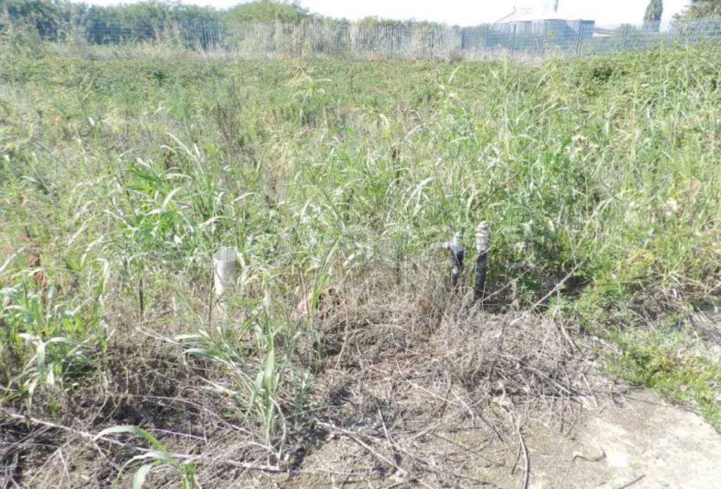 immagine annuncio 10 di 12