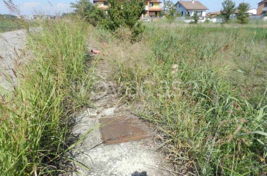 immagine annuncio 11 di 12