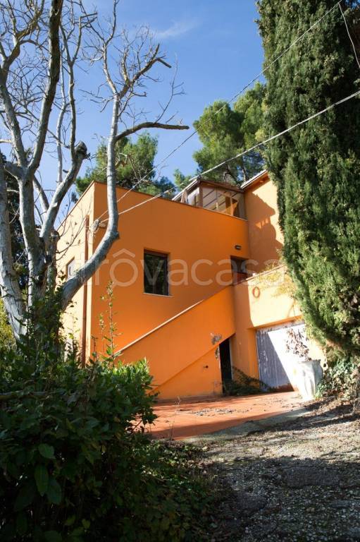 immagine annuncio 6 di 7