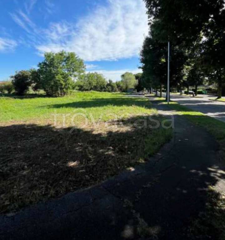 immagine annuncio 1 di 6