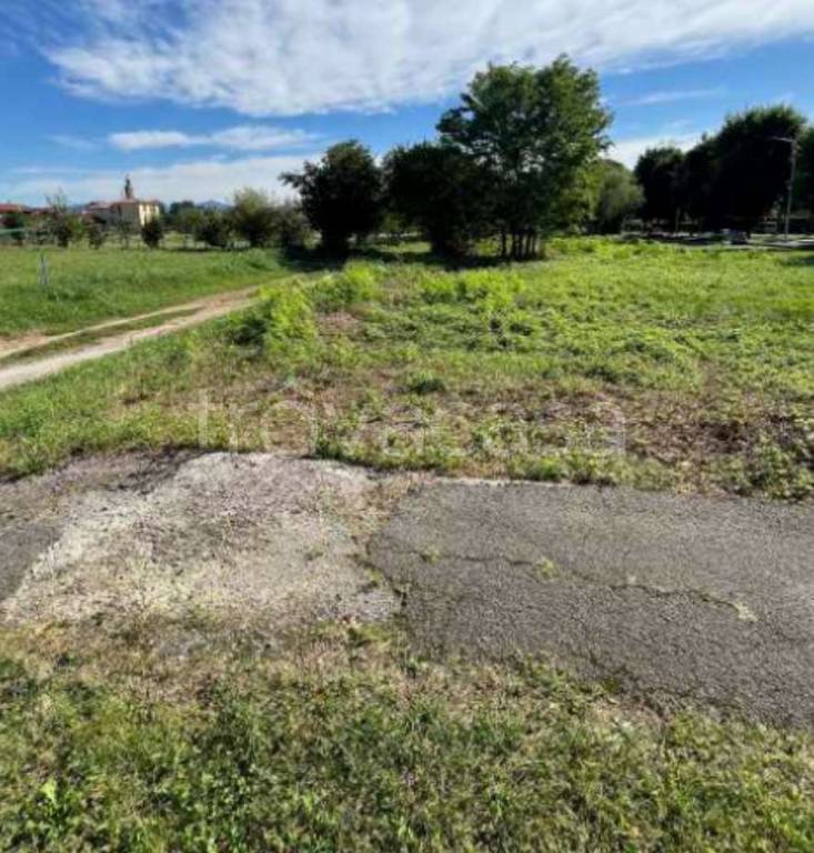 immagine annuncio 2 di 6