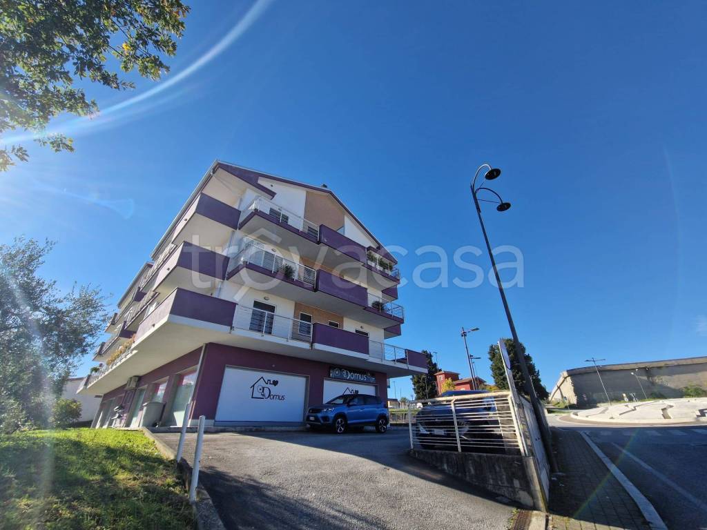 immagine annuncio 13 di 15