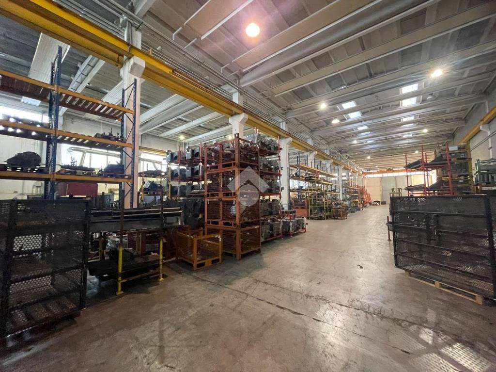 immagine annuncio 12 di 15