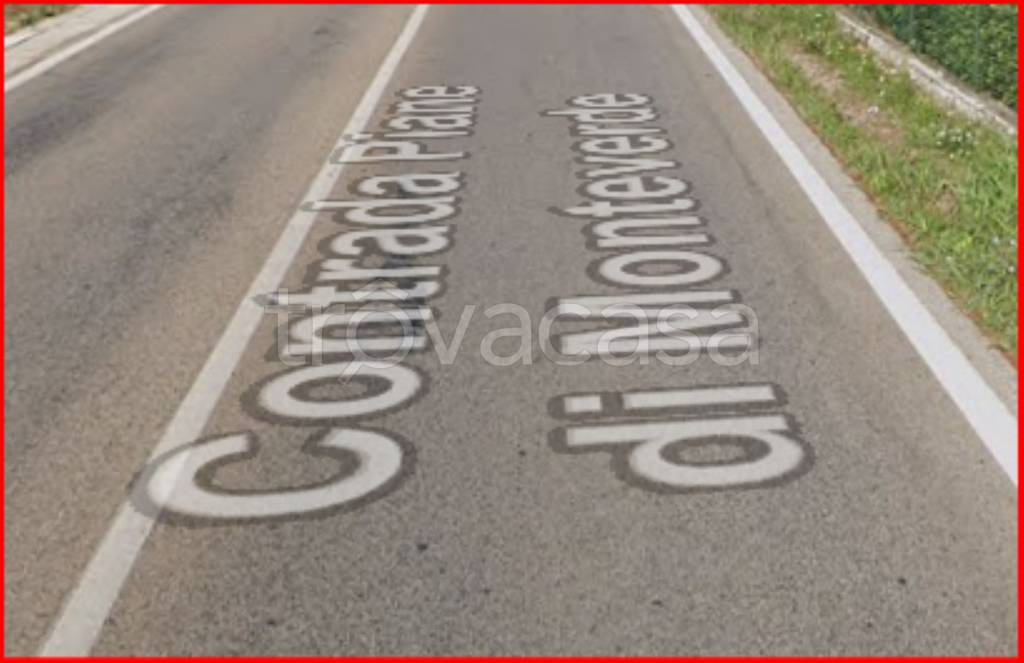 immagine annuncio 5 di 12