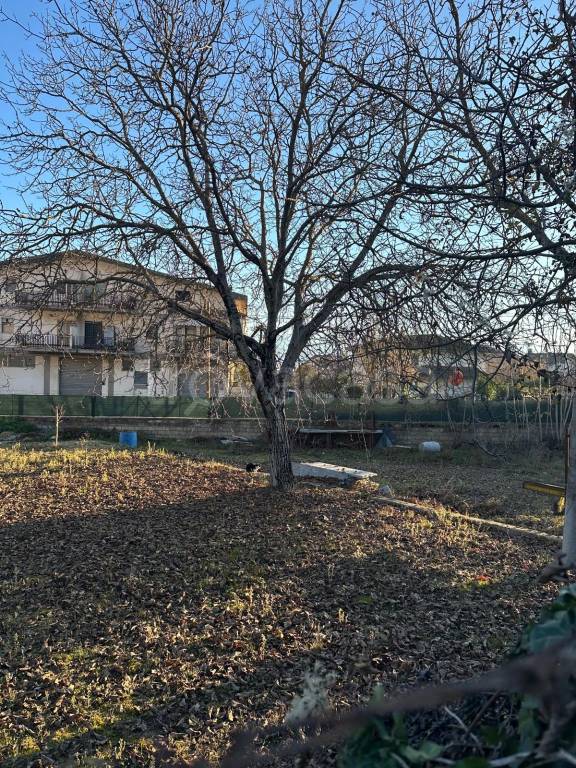 immagine annuncio 7 di 12