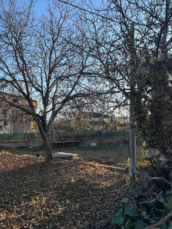 immagine annuncio 8 di 12