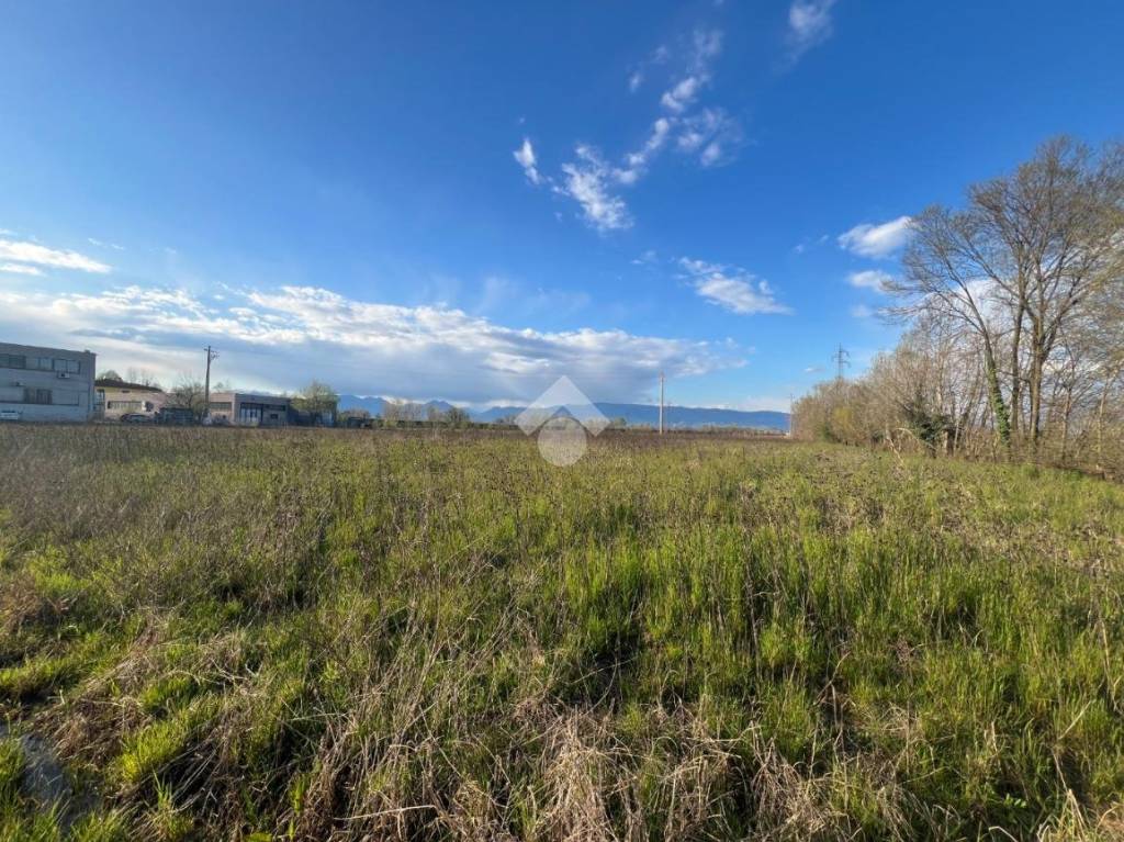 immagine annuncio 4 di 9