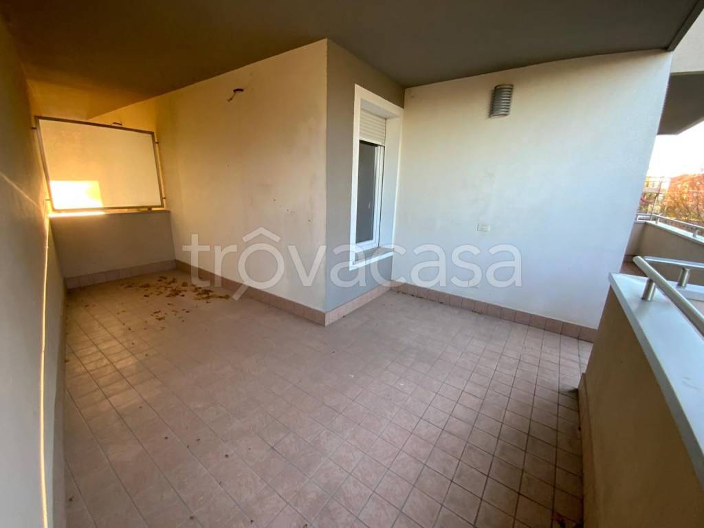 immagine annuncio 9 di 14