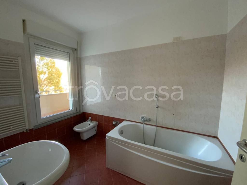 immagine annuncio 10 di 14