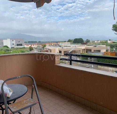 immagine annuncio 2 di 8