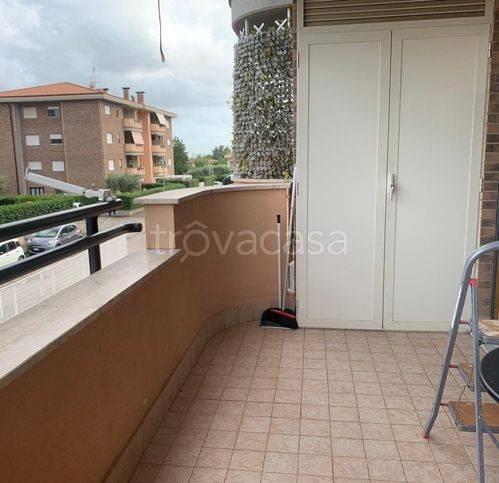 immagine annuncio 3 di 8