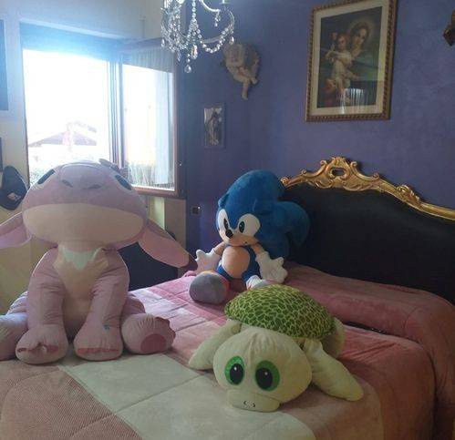 immagine annuncio 9 di 15