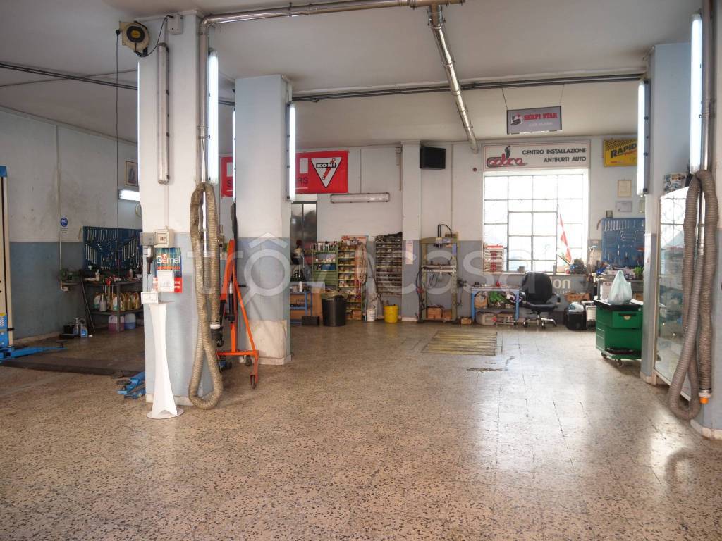 immagine annuncio 11 di 15