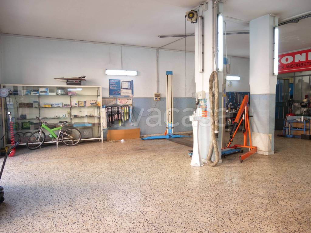 immagine annuncio 12 di 15