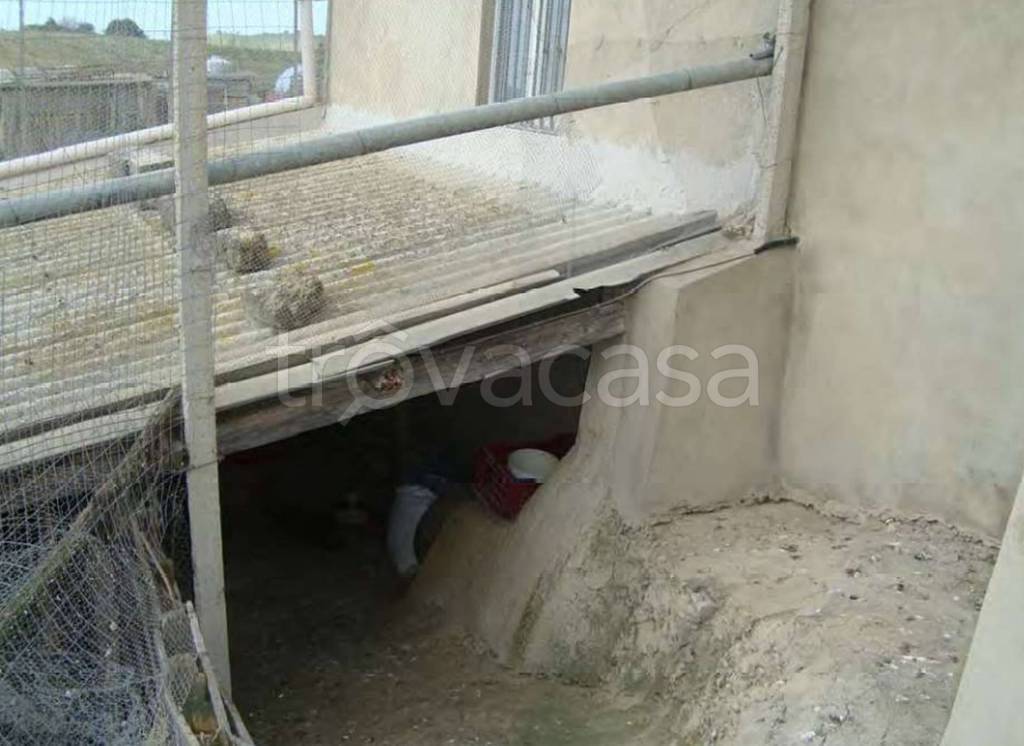 immagine annuncio 10 di 13