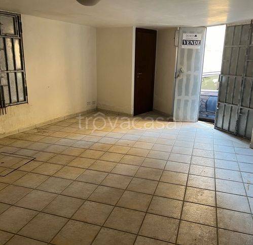 immagine annuncio 7 di 12