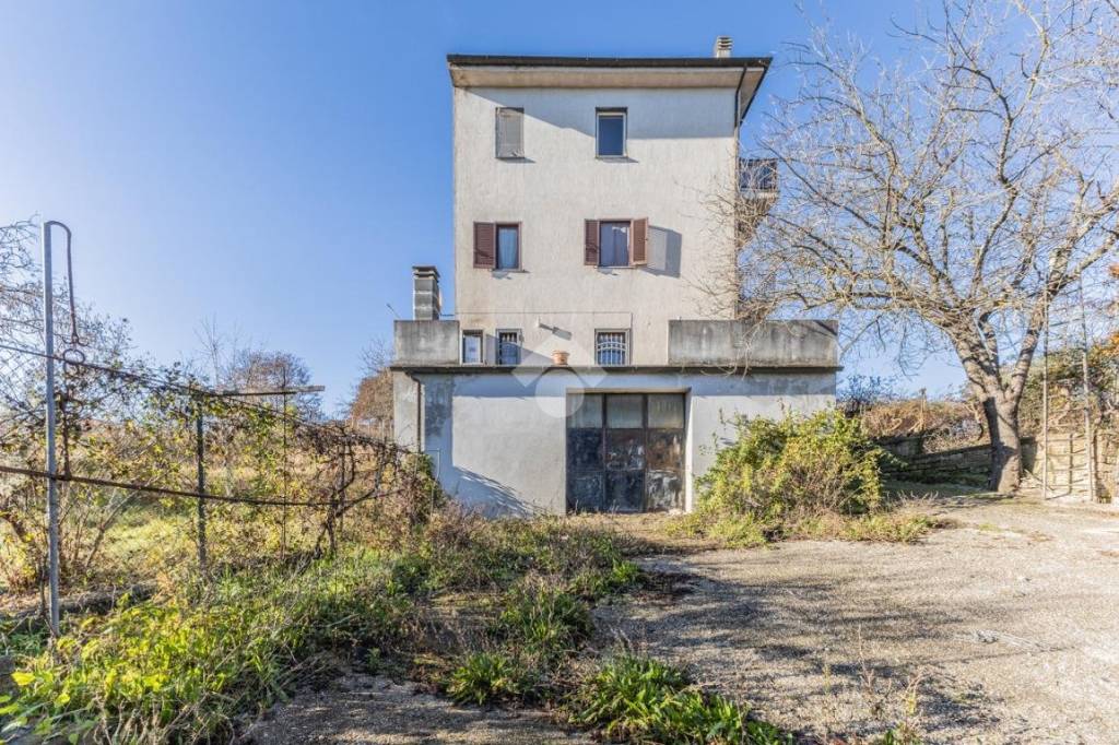 immagine annuncio 12 di 14