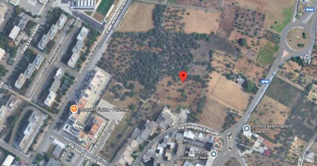 immagine annuncio 6 di 11