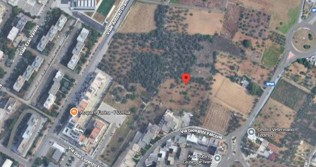 immagine annuncio 7 di 11