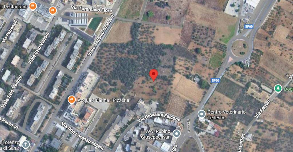 immagine annuncio 8 di 11