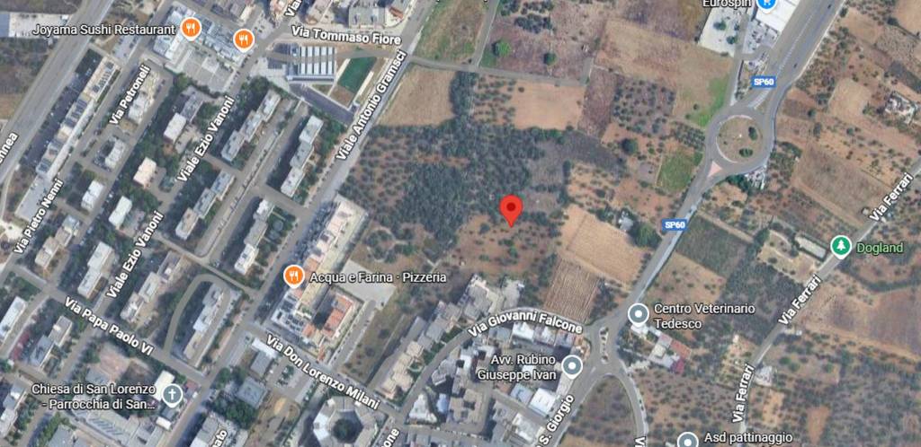 immagine annuncio 10 di 11