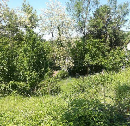 immagine annuncio 2 di 8