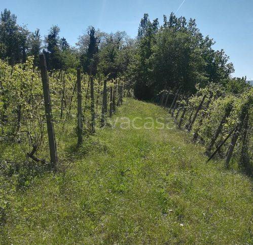 immagine annuncio 7 di 8