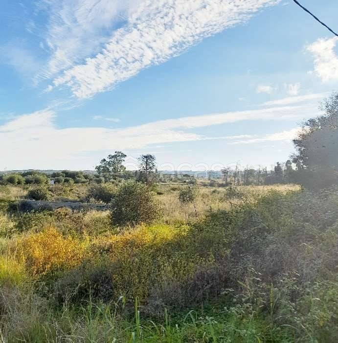 immagine annuncio 4 di 6