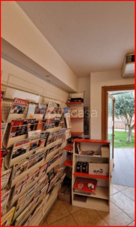 immagine annuncio 6 di 12