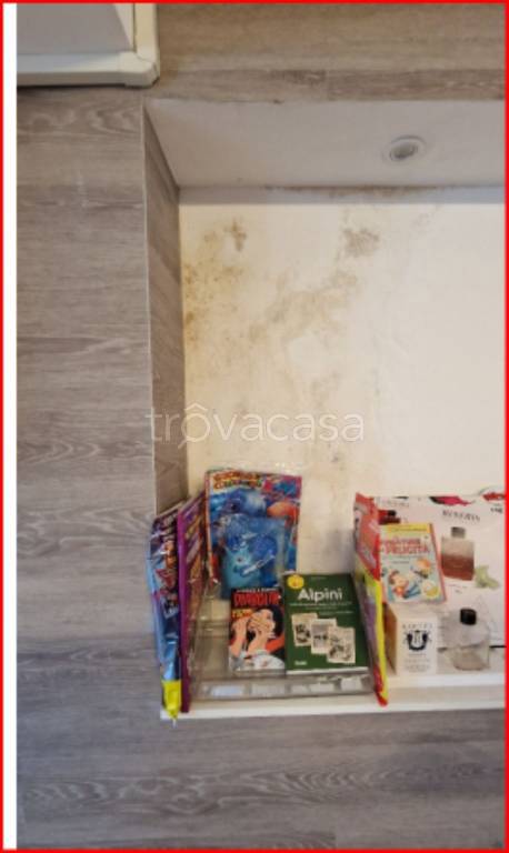 immagine annuncio 9 di 12