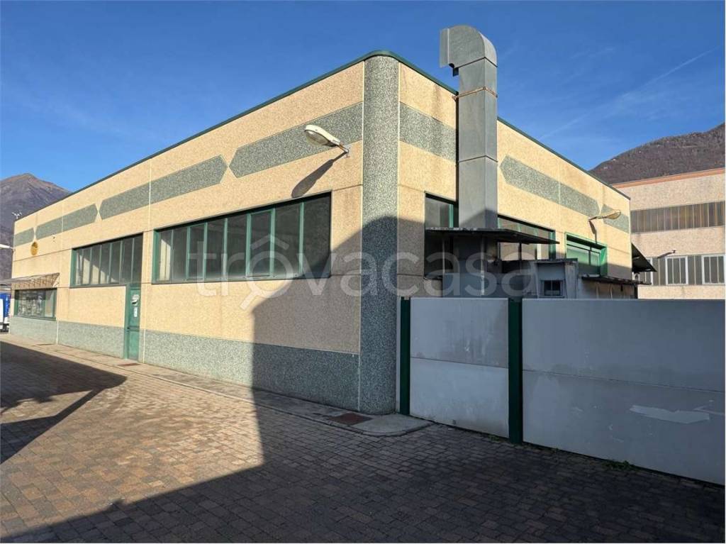 immagine annuncio 2 di 15