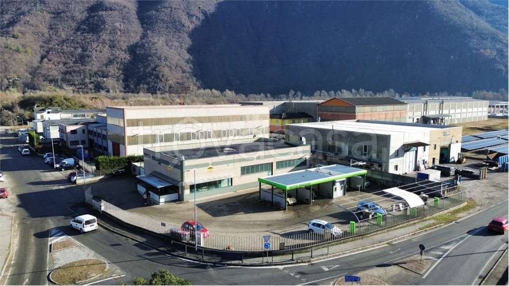 immagine annuncio 7 di 15