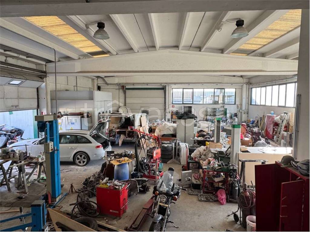 immagine annuncio 8 di 15