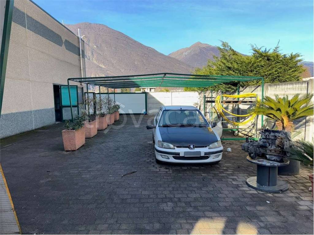 immagine annuncio 6 di 15