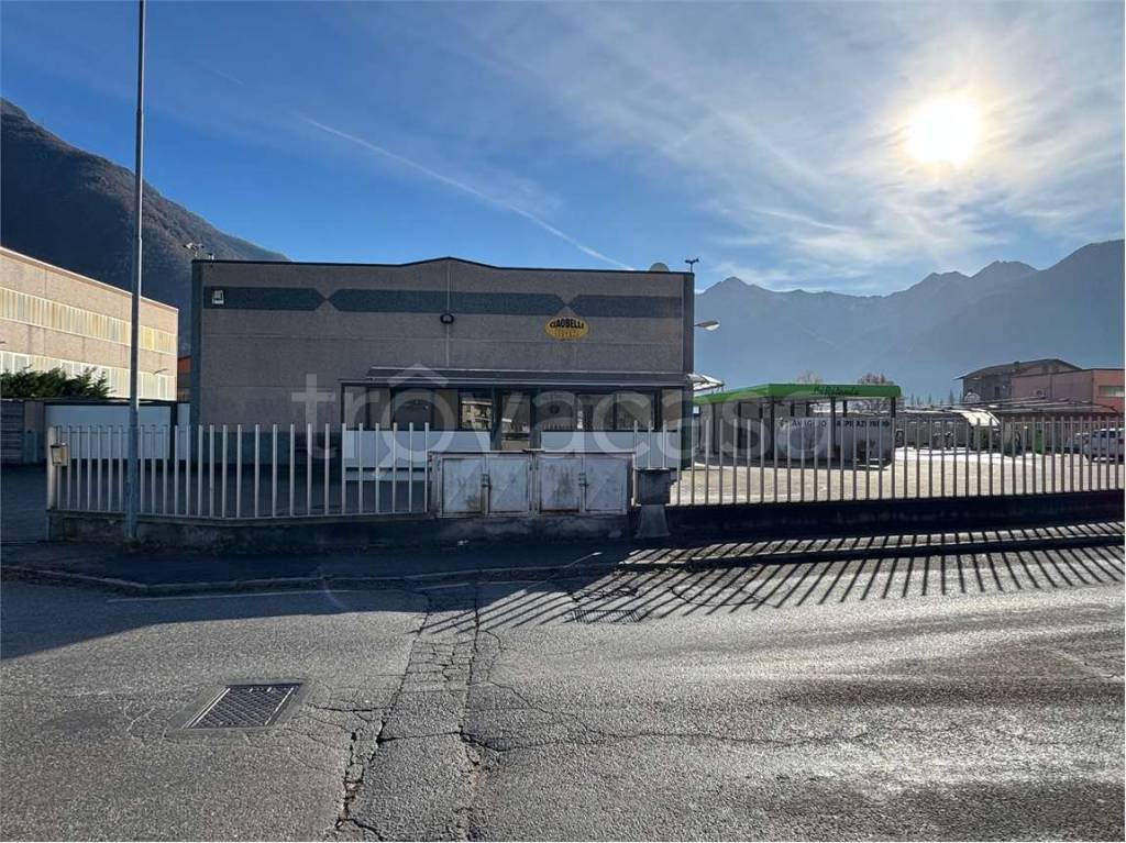 immagine annuncio 2 di 15