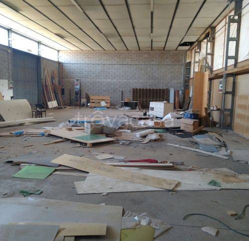 immagine annuncio 2 di 9