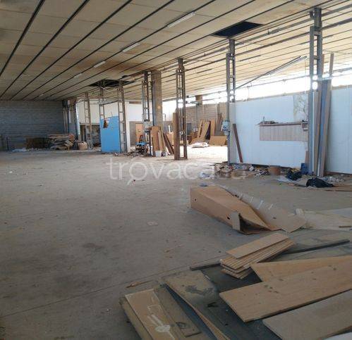 immagine annuncio 5 di 9