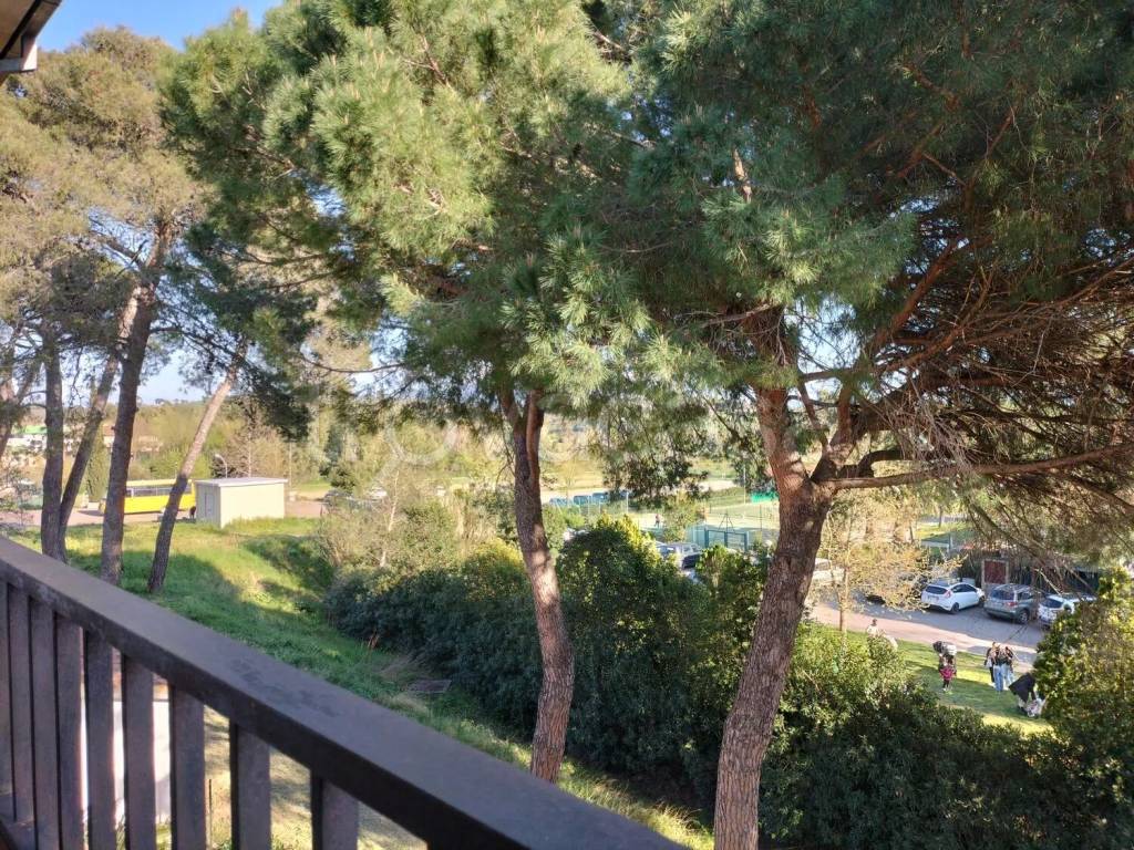 immagine annuncio 7 di 14