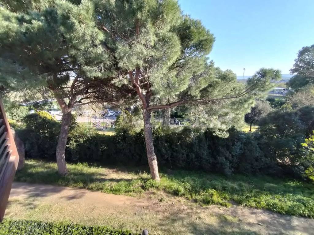 immagine annuncio 10 di 14