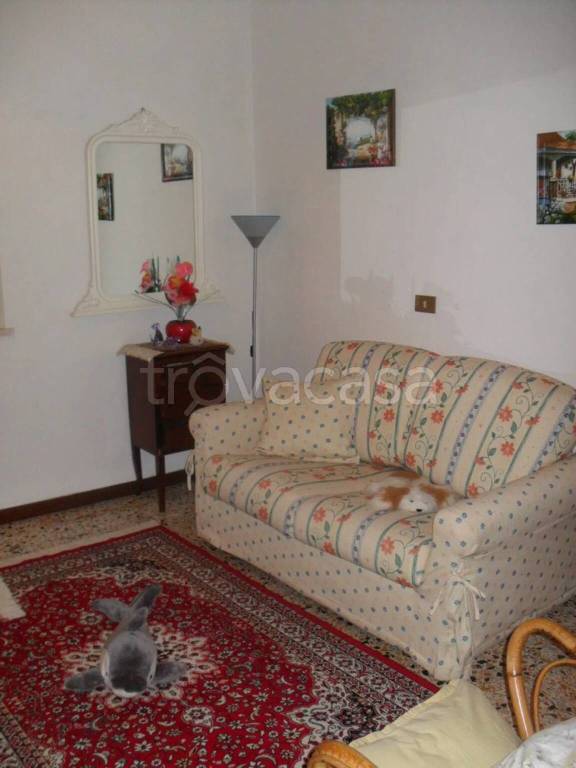 immagine annuncio 7 di 14