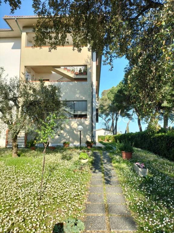 immagine annuncio 11 di 14