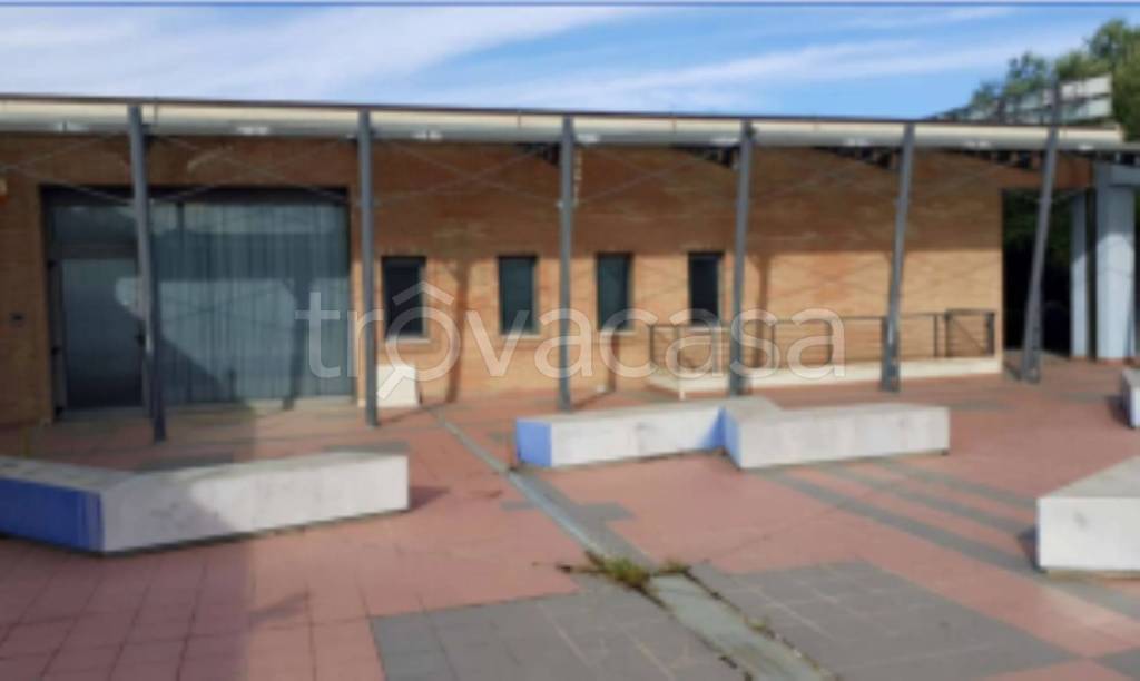 immagine annuncio 2 di 11