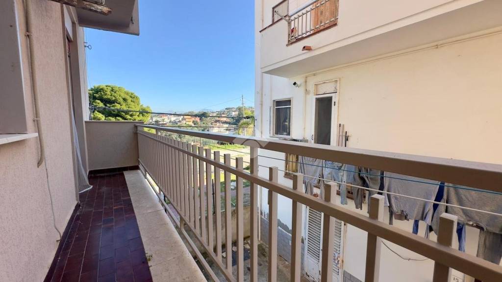 immagine annuncio 12 di 14