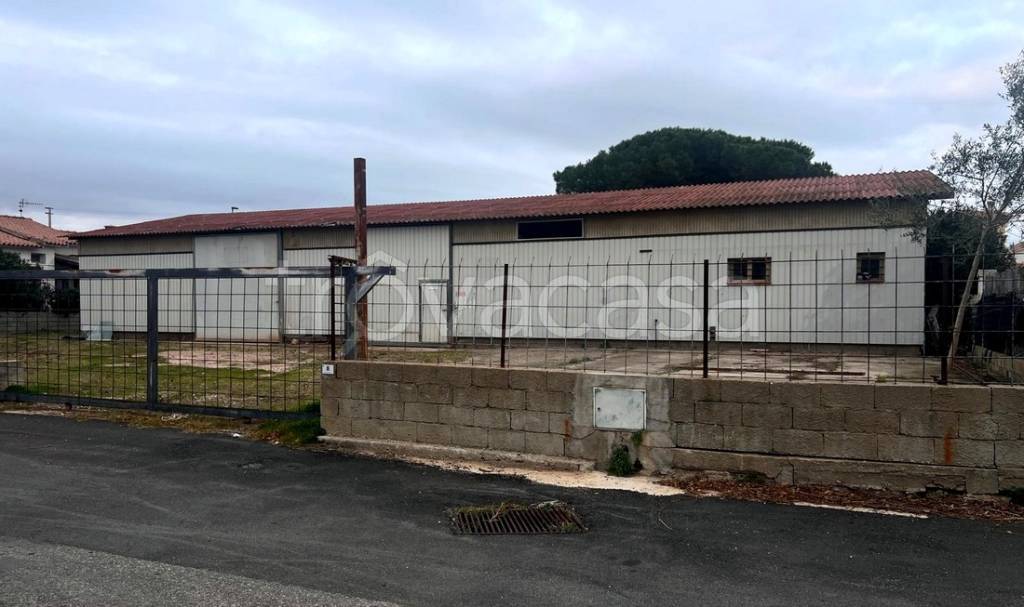 immagine annuncio 2 di 4