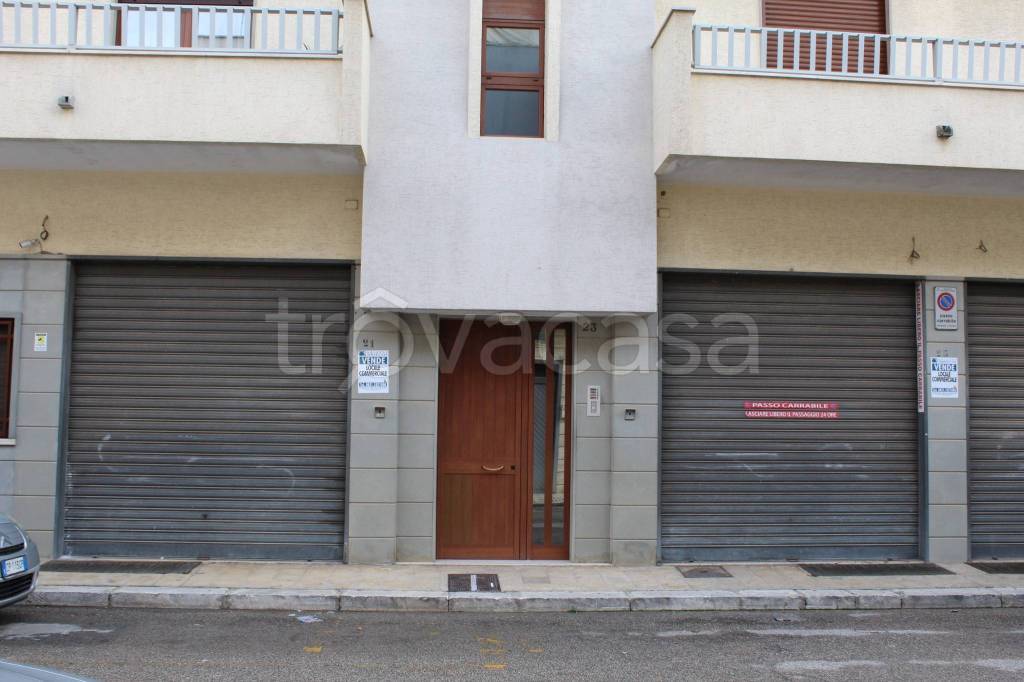 immagine annuncio 2 di 4