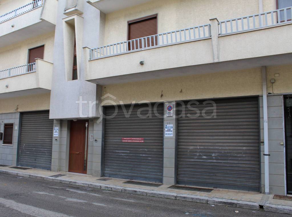 immagine annuncio 3 di 4