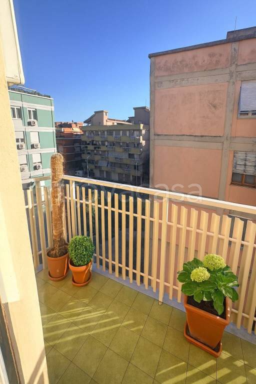 immagine annuncio 4 di 6