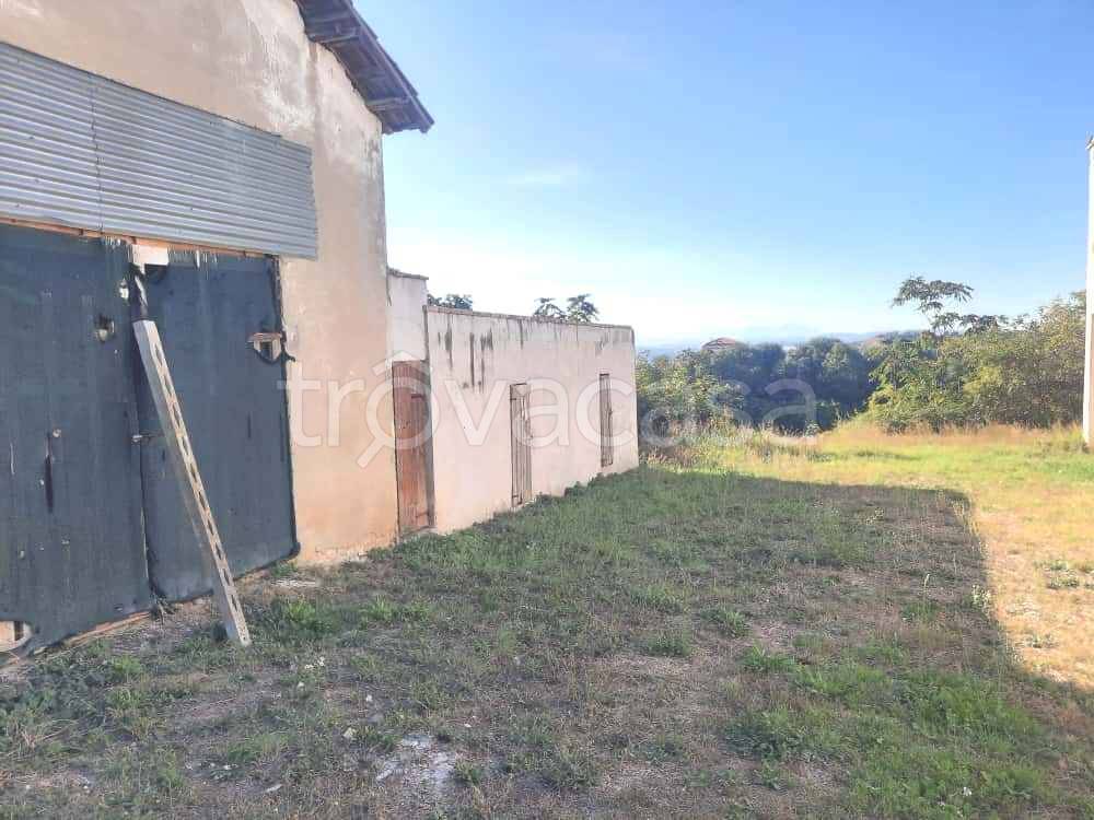 immagine annuncio 6 di 7