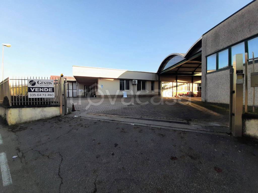 immagine annuncio 5 di 13