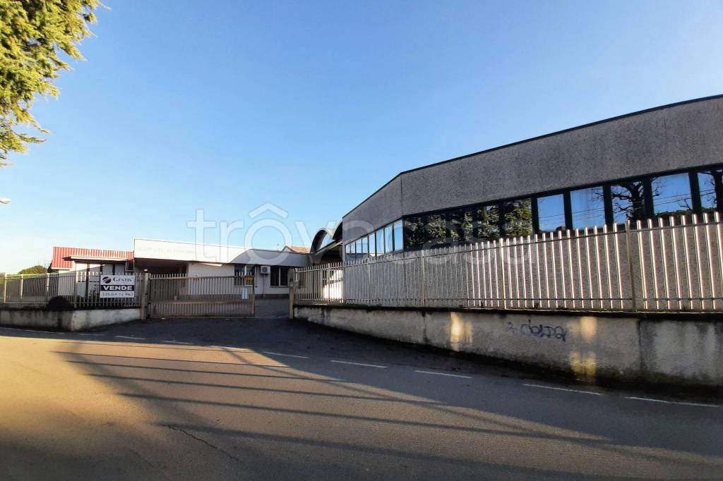 immagine annuncio 6 di 13